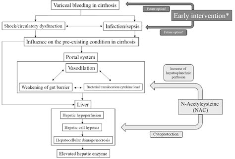 Concept diagram of ischemic hepatitis following variceal bleed.... | Download Scientific Diagram