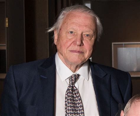 David Attenborough Biography - Facts, Childhood, Family Life & Achievements