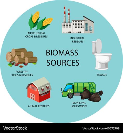 Many forms of biomass energy Royalty Free Vector Image