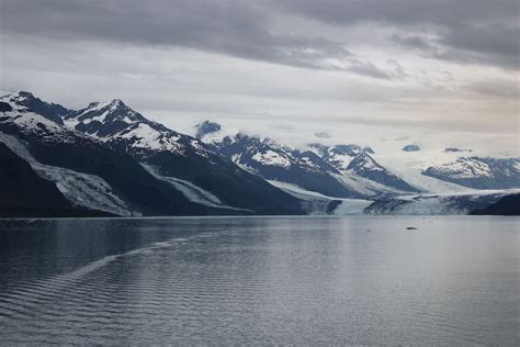 College Fjord, Alaska | Alaska, Fjord, Natural landmarks