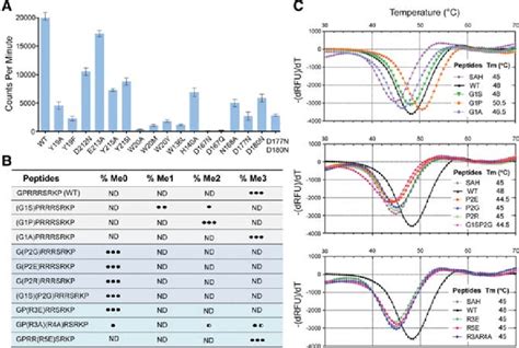 Mutagenesis and biochemical analysis. (A) In vitro methyltransferase ...