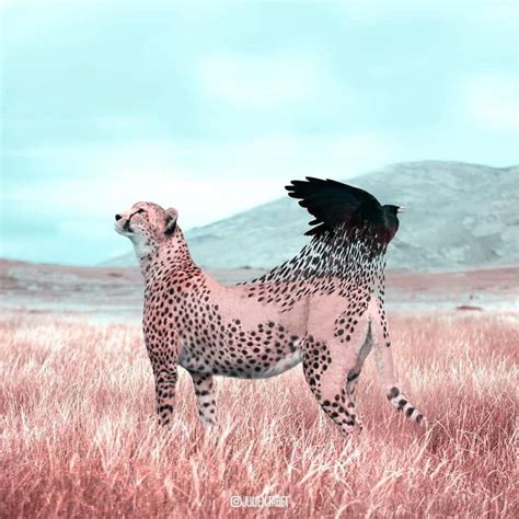 Digital Artist Creates Amazing Animal Photos With Photoshop