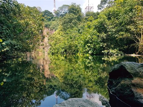 Exotic location for a run/walk: Bukit Batok Nature Park | JustRunLah!