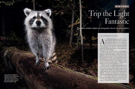 National Wildlife Magazine Feature | Sean Crane Photography