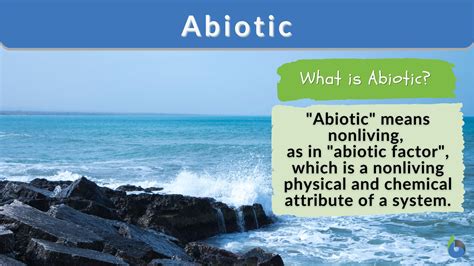 Abiotic Definition and Examples - Biology Online Dictionary