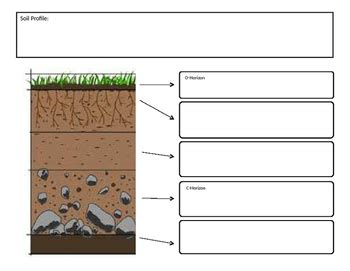 Soil Profile Worksheet