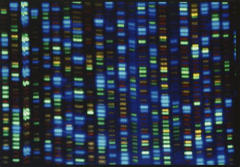 23andMe faces lawsuit as hackers sell information on users with Jewish ...