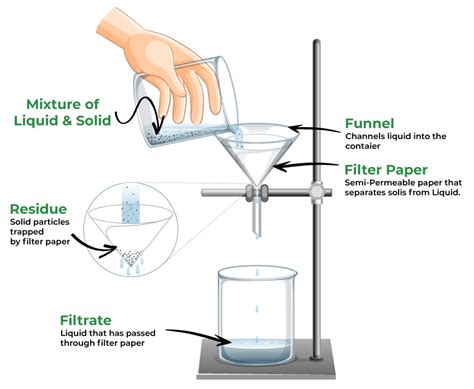 Filtration: Definition, Process, Diagram and Examples