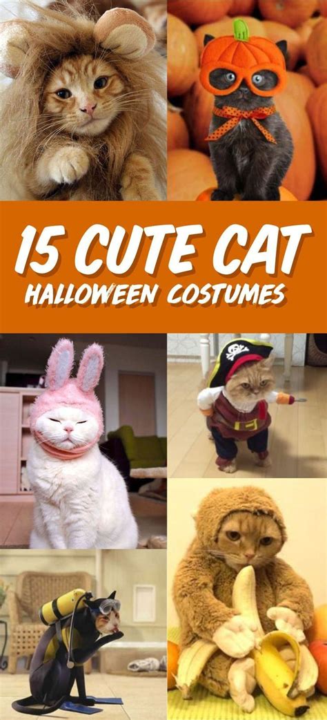 Best Halloween Costumes For Cats #cat in 2022 | Cat halloween costume pet, Cute cat costumes ...