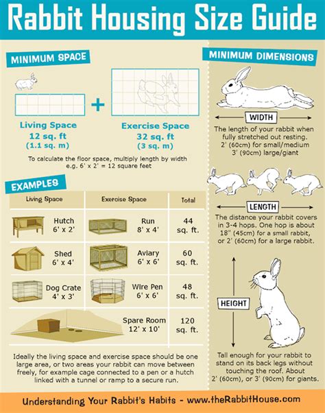 BlueRidgePetCenter: Rabbit Hutch/Cage Size Guide