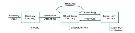 Information Processing Theory [classic] Creately, 44% OFF