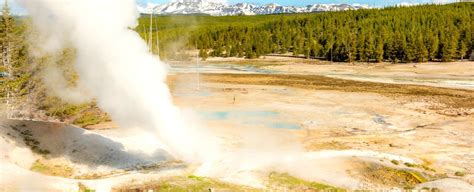 A Huge Geyser at Yellowstone National Park Has Erupted For The Third Time in 6 Weeks : ScienceAlert