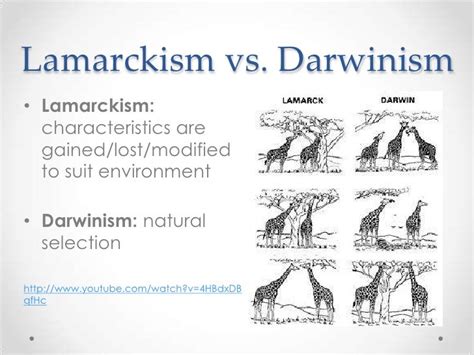 Theory Of Evolution: Difference Between Lamarck And Darwin Theory Of ...