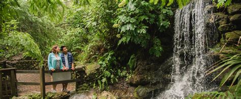 Friends of Rainbow Springs State Park - Waterfalls Restoration