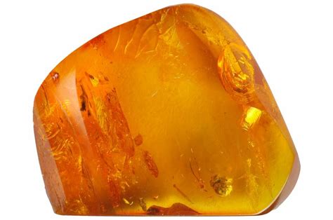 Unusual Fossil Mite (Acari) in Baltic Amber (#183570) For Sale ...