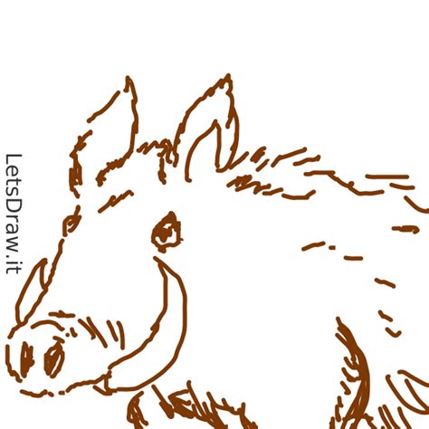 How to draw hog / jqgux4mcm.png / LetsDrawIt