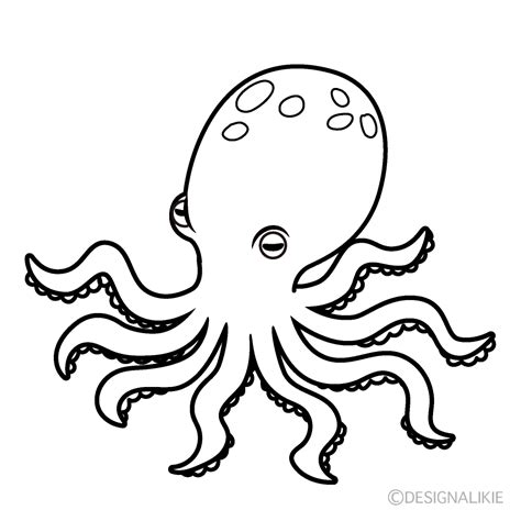 Octopus Black And White Drawing