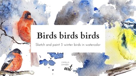 3 Winter Birds in loose Watercolor | Camilla Damsbo Brix | Skillshare