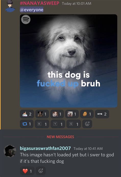 "This Image Hasn't Loaded Yet But I Swer to God If It's That F------ Dog" | This Dog Is Fucked ...