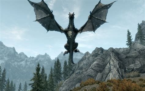 pictures of dragons | Descargar Fondos de pantalla dragon skyrim hd ...