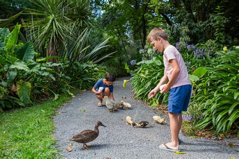 Katikati Bird Gardens | Tauranga, New Zealand - Let's Be Explorers