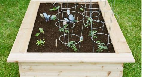 23 DIY Garden Box Plans And Ideas For Easy Gardening – Home And Gardening Ideas