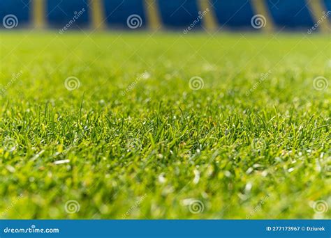 Grass at a Football Stadium Stock Image - Image of background, blurred: 277173967