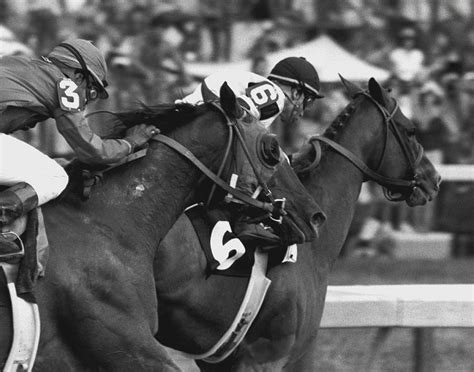 Affirmed Horse Racing Vintage Photograph by Retro Images Archive | Pixels