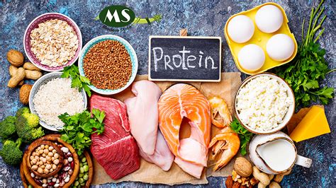 Protein is the most essential nutrient | Find some of the Protein Myth ...