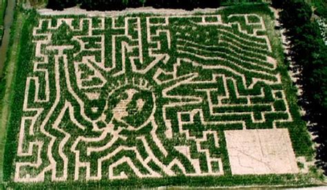 A Lady Liberty Corn Maze | Fun fact friday, Corn maze, Maze