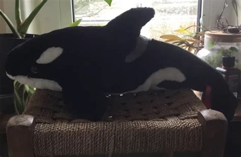 HAMLEYS SOFT TOYS - Orca £10.00 - PicClick UK