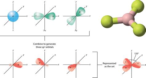 Hybrid Orbitals - sp and sp2 | CK-12 Foundation