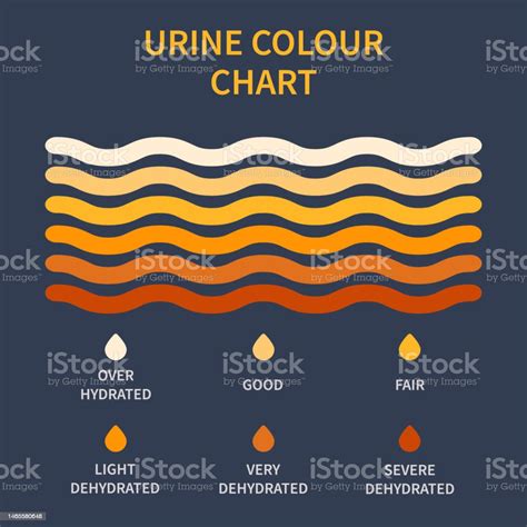 Urine Color Chart Illustration Of Dehydration Level Stock Illustration ...