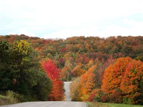 fall foliage skaneateles finger lakes | Leaf peeping, Fall foliage, Skaneateles