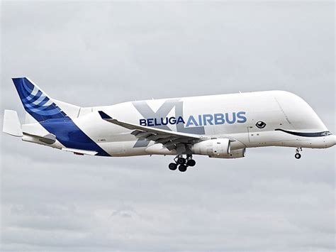 Entra in servizio la balena dei cieli. Airbus lancia il Beluga XL ...