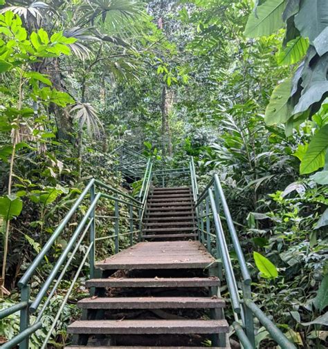 Hiking Cerro Tortuguero, Tortuguero | kimkim