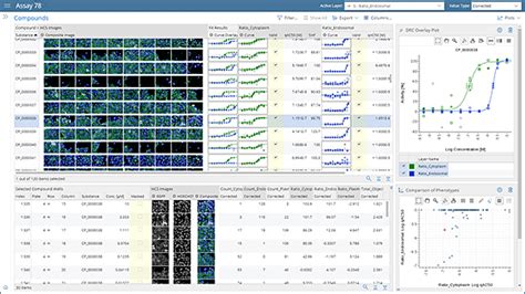 High Content & Multiplexed Assays | Screener