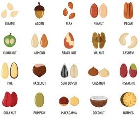 Seed Various Types and its Significance