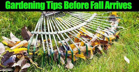 Fall Gardening Tips - What To Do Before Fall Arrives