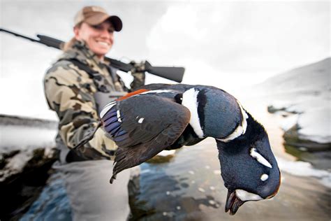 An Adak Island Bird Hunting Adventure - Gun Dog