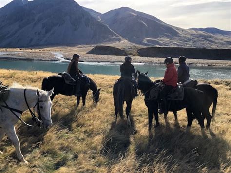 Our First Hand Experience: Horse Riding in New Zealand's South Island ...