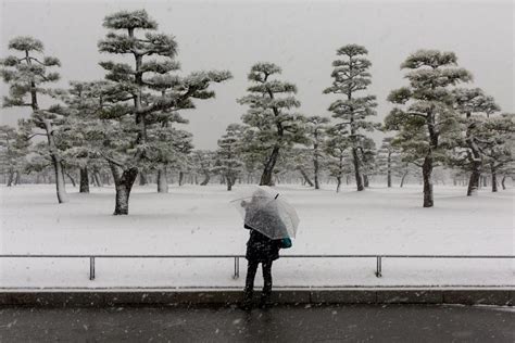 In Pictures: Heavy snowfall in central Tokyo | The Straits Times