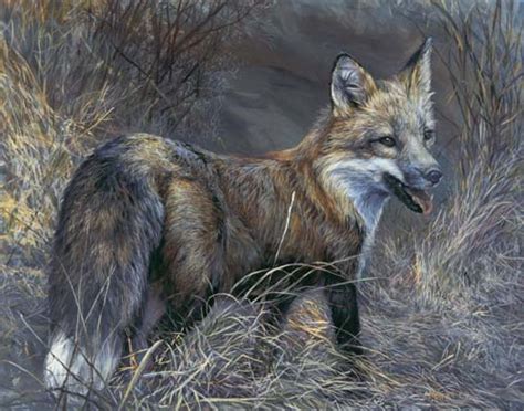 Swamp Fox - Laura Mark-Finberg