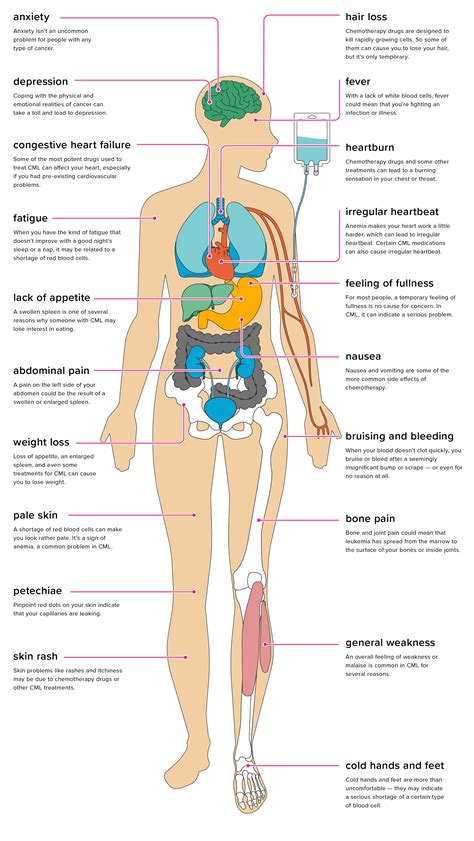 How Chronic Myeloid Leukemia Affects the Body