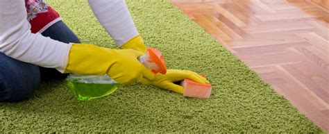 5 Benefits of Green Carpet Cleaning | Brilliance Carpet Cleaning