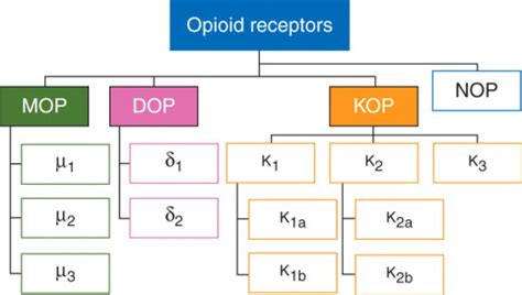 Opioid receptor subtypes: fact or artifact? - British Journal of ...