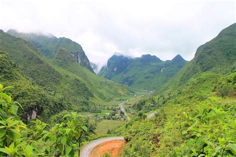 Questions remain as Vietnam reaches major REDD+ milestone