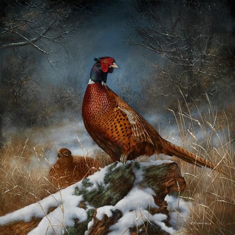 Pheasant paintings