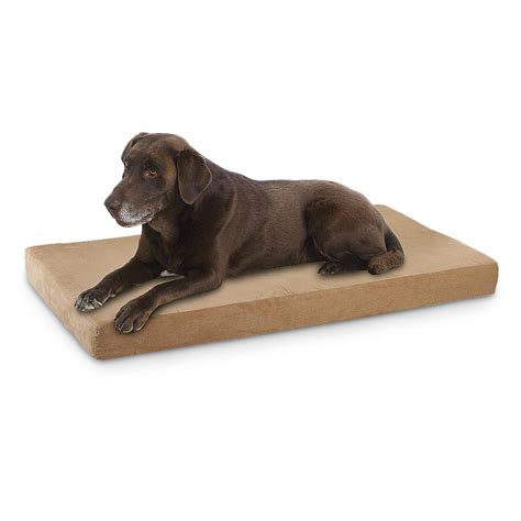 DogPedic™ Orthopedic Pet Bed - 212653, Kennels & Beds at Sportsman's Guide