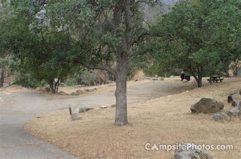 Millerton Lake Recreation State Area - Campsite Photos, Availability Alerts